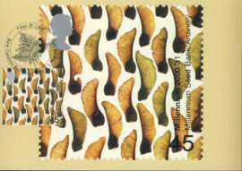 MIKE PARSONS Postcard Seed Bank Ardingly Kew Gardens special hand stamp postmark refE155