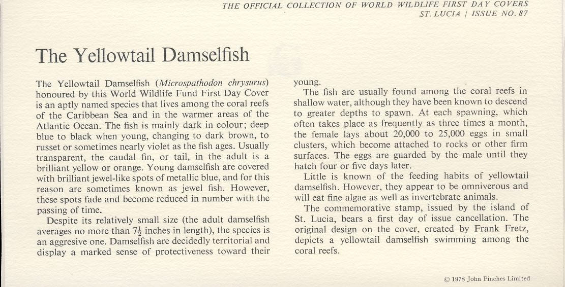 The Yellowtail Damselfish CASTRIES ST. LUCIA 1978 Stamp World Wildlife Fund First Day Cover FDC refWWF57 - Image 2