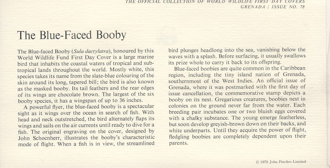 The Blue-Faced Booby bird GRENADA 1978 Stamp World Wildlife Fund First Day Cover FDC refWWF66 - Image 2