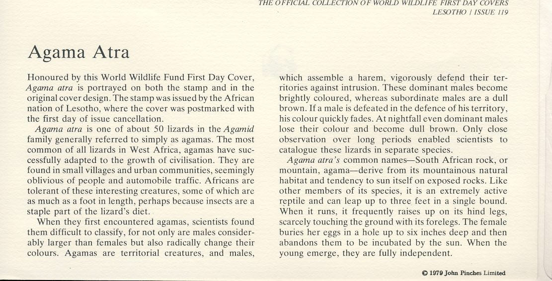 Agama Atra Lizard Africa MASERU LESOTHO 1979 Stamp World Wildlife Fund First Day Cover FDC refWWF71 - Image 2