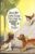 BAMFORTH No.2264 DOGS humour FLOSSIE Vintage Comic Postcard refB1