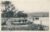 1906 Coniston Lake with Cattle Plantino-Photo Peacock Brand POSTCARD box1