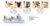 1996-03-12 Wildfowl and Wetlands Trust FDC Bureau refA14