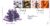 2000-10-03 Body and Bone Royal Mail FDC refA64