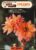 LOVE SONGS 1976 Sheet Music book with Words EZPLAY Today 29 for Organs Piano & Guitar ref102805