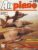 Airplane Magazine part 191 Avro Shacklton VTOL NAMC YS-11 ORBIS