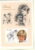 Princess Diana Grenada $5 MS stamp sheet refDA133