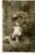 Pauline age 3 with stuffed toy dog vintage photo postcard