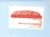 Sheraton Ayers Rock Hotel Central Australia vintage souvenir sticker refS5