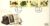 1988-01-19 The Linnean Society Stamps FDC Cover refG445