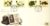 1988-01-19 The Linnean Society Stamps FDC Cover refG446