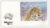 FO1023 2009 Endangered Species Amur Leopard M/S Guernsey Post FDC