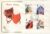 STRATFORD UPON AVON Theatre History 1982 FDC Cotswold Stamp Cover refG122