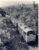 1982 STAINFORTH GORGE Settle Carlisle 31.188 Train Photo refSC149