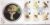 1998-01-20 Common Dormouse Endangered Species Stamps FDC BLCS137 Benham Silk Cover refG241