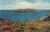 The Calf of Man Isle of Man Old Colour Postcard refP9 A Salmon Cameracolour Post Card. Pre-owned unused condition.