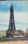 BLACKPOOL TOWER Old Bamforth Postcard refP9