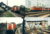 4 x European? Train Railway Photos ref037