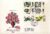 1967-04-24 British Wild Flowers Stamps FDC Philart Cover KINGSTON UPON THAMES refH110
