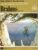 The Great Musicians BRAHMS (part two) 10″ LP & Magazine Fabrri & Partners ref24 (1)