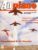 Airplane Magazine part 101 Consolidated B-24 Liberator, Folland Gnat ORBIS