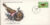 The Dartford Warbler bird GUERNSEY 1978 Stamp World Wildlife Fund First Day Cover FDC refWWF54