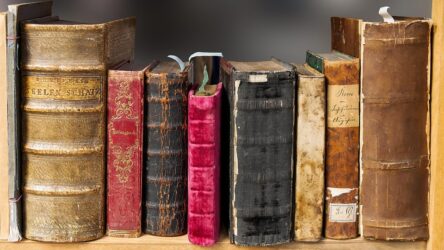 Elevate Your Space: The Ultimate Guide to Stylish and Functional Bookcases