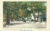 1905 The Promenade Cheltenham BEDORD postmark Vintage Postcard refP1