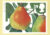 1993 Pear Tree Newton Abbot DEVON Autumn Vintage Postcard refP1