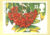 1993 Rowanburn Canonbie Dumfries Autumn Rowan Vintage Postcard refP1
