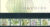 16th March 1993 ORCHIDS mint stamps presentation pack refd100035
