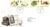 1988-01-19 The Linnean Society Stamps FDC refE184