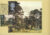 DAVID CHALMERS Forest for Scotland Postcard GLASGOW special Tree & Leaf hand stamp postmark refE156