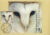 AVRIL RAMAGE Oxford Postcard OWL special hand stamp Muncaster Ravenglass Cumbria 2000postmark refE183