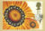 GAZANIA SPLENDENS painting by Mis CC Sowerby Postcard special Dorney Windsor BLOOMS Bressingham hand stamp postmark 1997 refE211