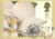 MAGNOLIA ALTISSIMA painting by GD Ehret Postcard special FLORAL GREETING KEW hand stamp postmark 1997 refE213