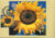 GEOFF DU FEU Telegraph Sunflower Postcard St Austell Plants special hand stamp postmark refE154