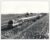 Harlaston 1988 07.53 ex Plymouth for Newcastle  Black & White Train Photo. R106