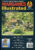 WARGAMES Illustrated #242 Seminola War Florida, ACW rules, WAB army lists ref100463