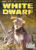 White Dwarf magazine #314 A Shadow in the East, feat. Lord of the Rings Games Workshop WARHAMMER ref101428