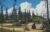 Oil Wells in California Long Beach Signal Hill  VINTAGE POSTCARD box3 gw-13