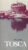TOSCA Puccini English National Opera London Coliseum Theatre Programme refb101037