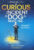 The Curious Incident of the Dog in the Night-Time APOLLO Theatre Programme Luke Treadaway refb100871