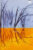 2001 The Winter’s Tale NT National Theatre Programme b1069
