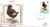 1989 GOUGH MOORHEN Birds stamp Benham sm silk cover ref104