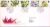 1993-03-15 Orchids Conference Royal Mail FDC Bureau A490