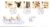 1996-03-12 Wildfowl and Wetlands Trust FDC Bureau A515