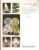 SOTHEBY’S Colonnade Oriental Auction Catalogue LONDON 1996 r1-25