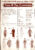Time & The Conways 1983 Chichester Festival Theatre Programme tri-foldout refb1193
