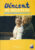 Vincent in Brixton Wyndhams Theatre Programme PAUL NICHOLLS, JOCHUM TEN HAAF refb1515